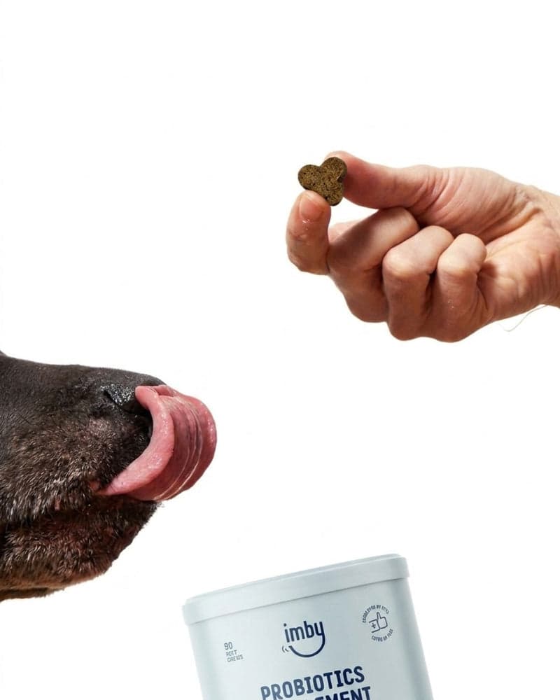 Hondenneus reikt naar een probiotica-kauwsnack tussen twee vingers